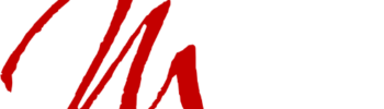 NetMotion Internet-Services